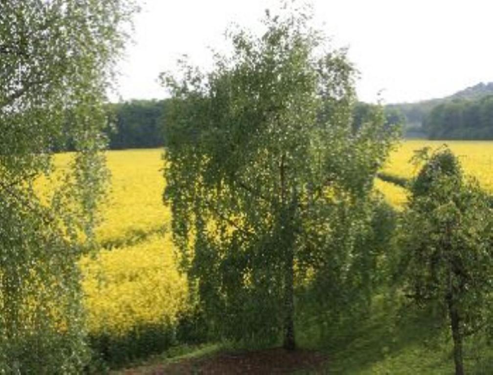 Domaine De Gondrange - Chambres D'Hotes Havange 外观 照片